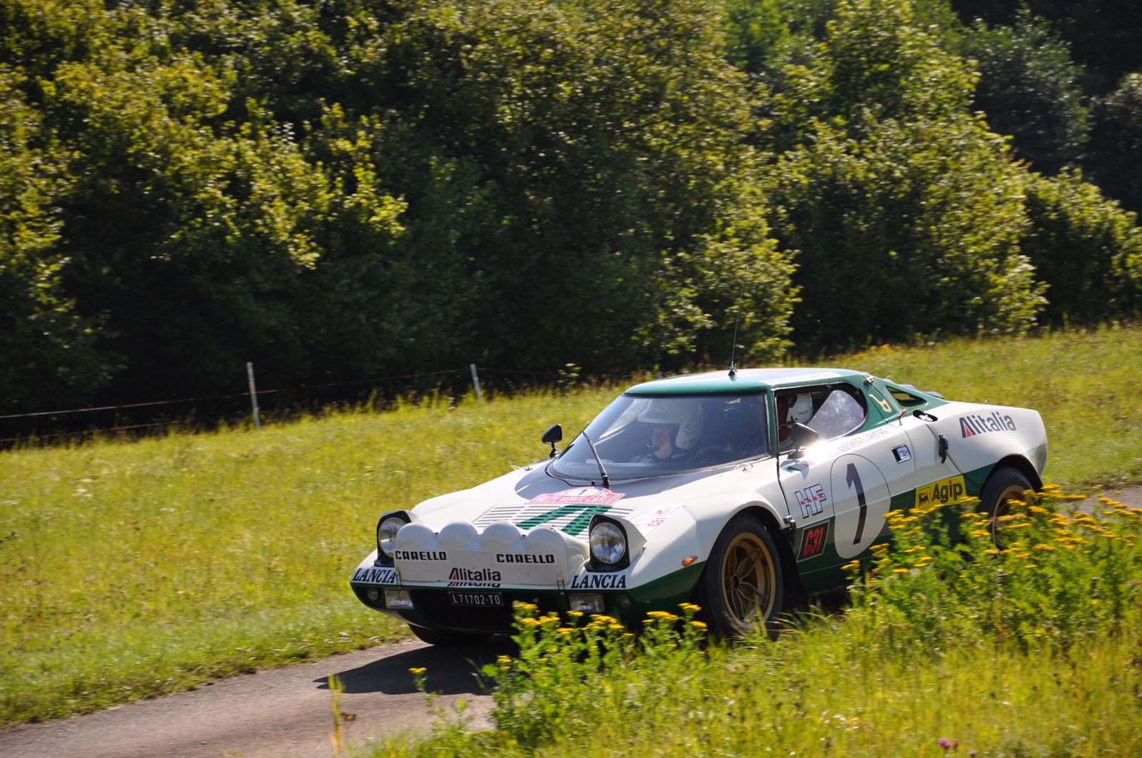 WRC-D 21-08-2010 491 .jpg
